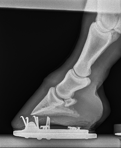 20240629radiograph_2