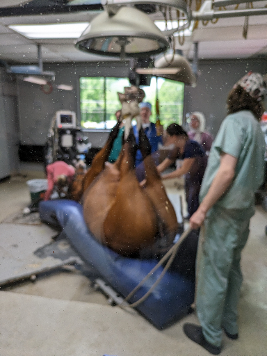 PXL_20240607_194554503