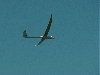MVC00005