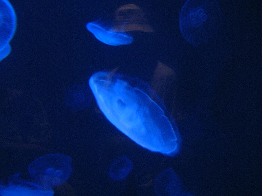 DSCF0404