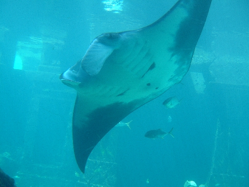 DSCF0407