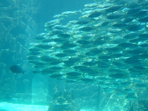 DSCF0408