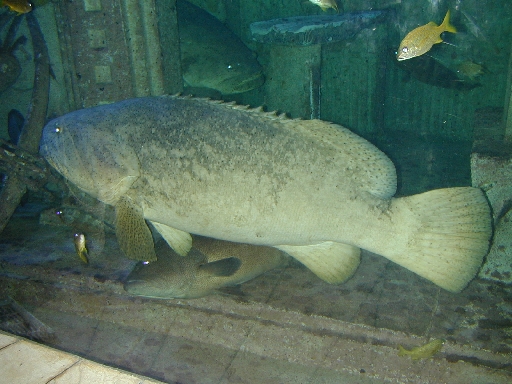 DSCN0011