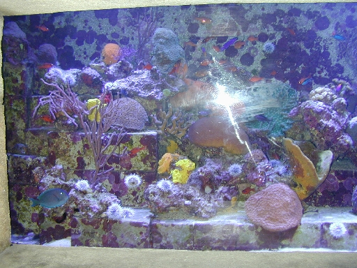 DSCN0018