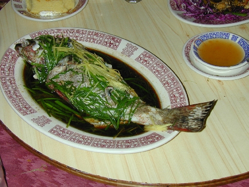 DSCN0099