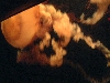 DSCF0402