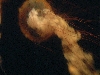 DSCF0403