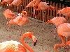 DSCF0416