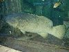 DSCN0011