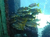 DSCN0013