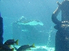 DSCN0015