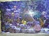 DSCN0018
