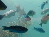 DSCN0024