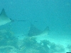DSCN0025