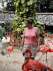 ben+flamingo