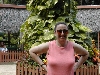 bev