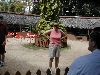 bev2