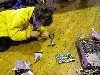 Dscn0608