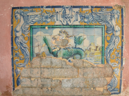 DSCN2429