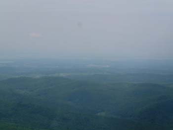 DSCF1010