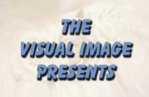 visual