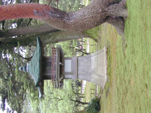 DSCN0228