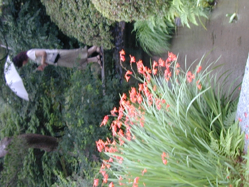 DSCN0229