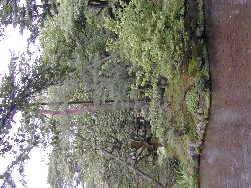 DSCN0231