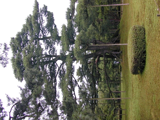 DSCN0232