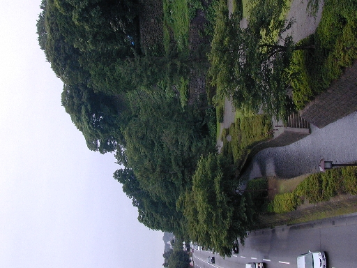 DSCN0239