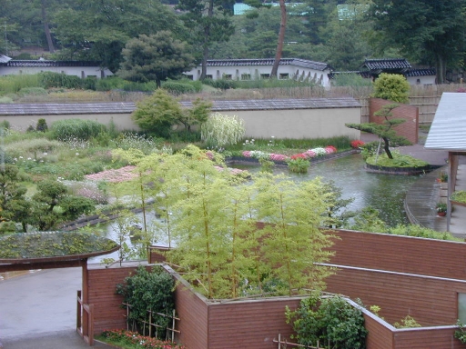 DSCN0244