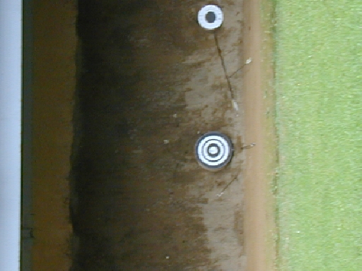 DSCN0289