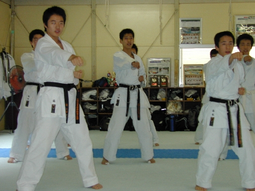 DSCN0291