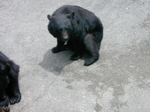 DSCN0332