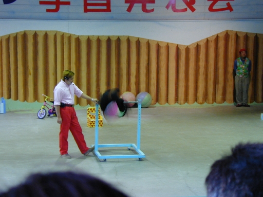 DSCN0334