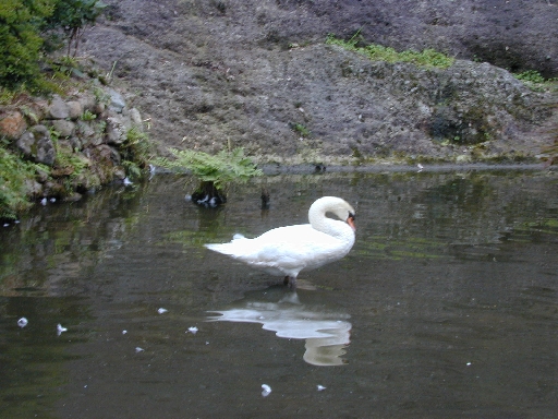 DSCN0405