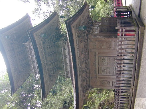 DSCN0407