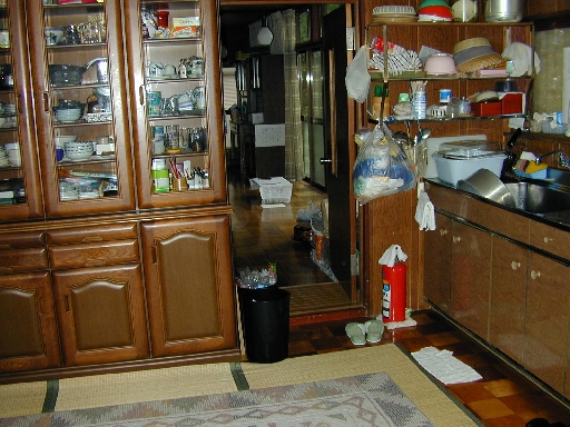 DSCN0411