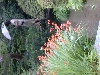 DSCN0229