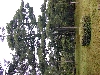 DSCN0232