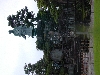 DSCN0233