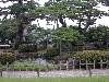 DSCN0235