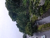 DSCN0239