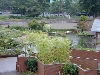 DSCN0244