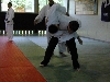 DSCN0281
