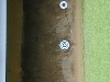 DSCN0289