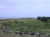 DSCN0298