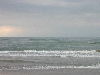 DSCN0325