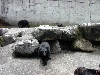 DSCN0328