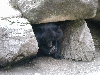 DSCN0329